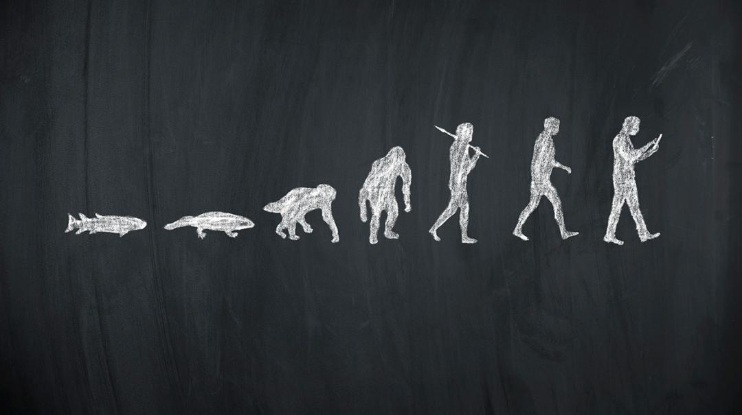 Evolution