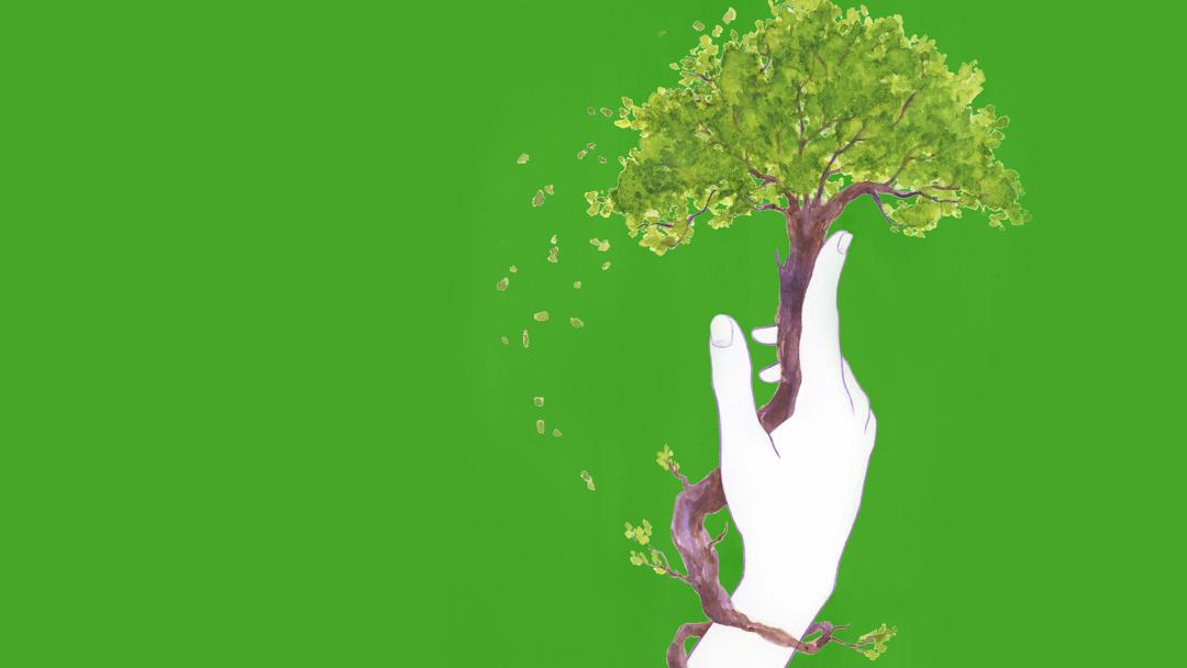 Literaturmeisterwerke – Natur
